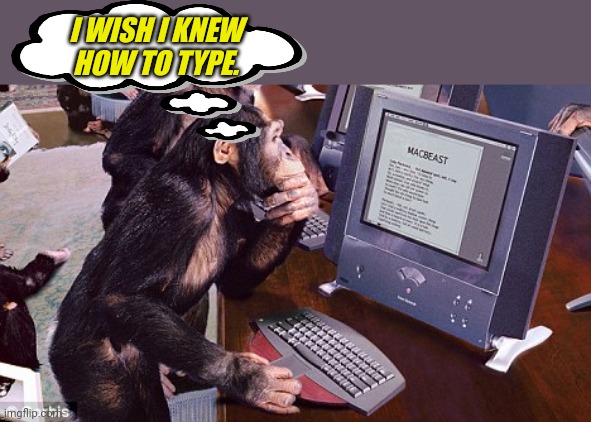 Monkey Computer | I WISH I KNEW HOW TO TYPE. | image tagged in monkey computer | made w/ Imgflip meme maker