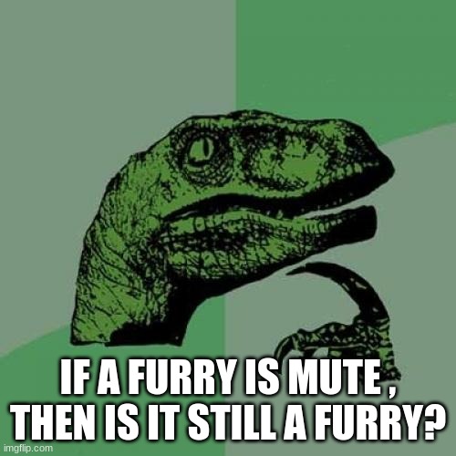 hfhfhghfhf | IF A FURRY IS MUTE , THEN IS IT STILL A FURRY? | image tagged in memes,philosoraptor | made w/ Imgflip meme maker