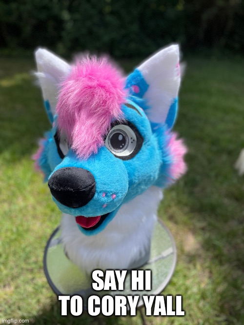 IM SO GODDAMN HAPPY | SAY HI TO CORY YALL | image tagged in furry,fursuit | made w/ Imgflip meme maker