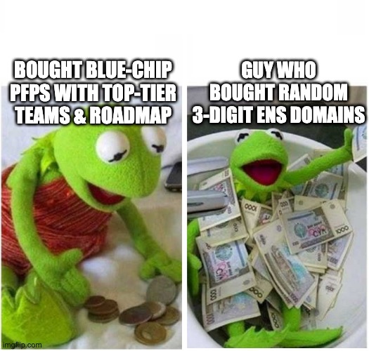 pfps | GUY WHO BOUGHT RANDOM 3-DIGIT ENS DOMAINS; BOUGHT BLUE-CHIP PFPS WITH TOP-TIER TEAMS & ROADMAP | image tagged in rich and poor | made w/ Imgflip meme maker