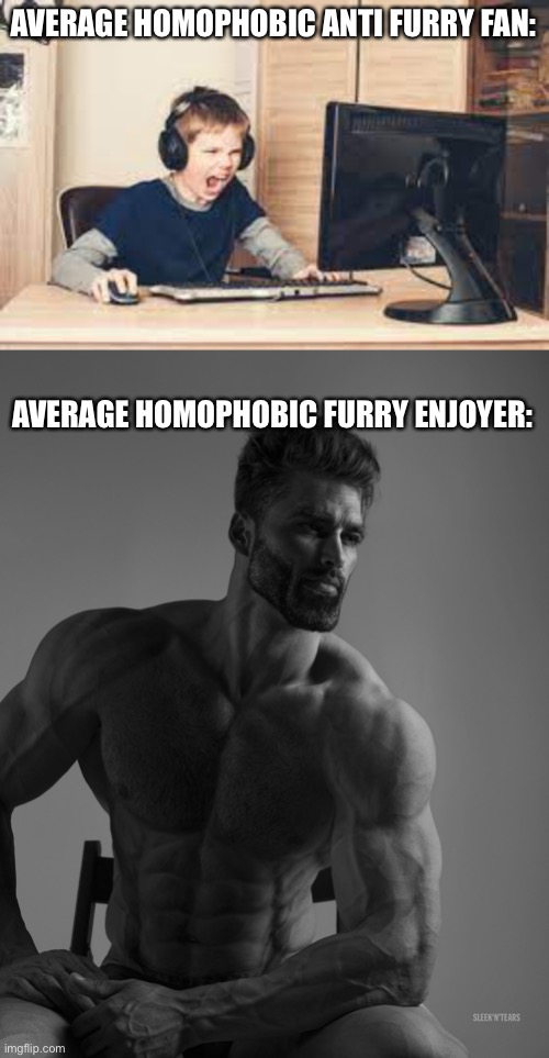 Time to troll the 10 year olds | AVERAGE HOMOPHOBIC ANTI FURRY FAN:; AVERAGE HOMOPHOBIC FURRY ENJOYER: | image tagged in giga chad | made w/ Imgflip meme maker