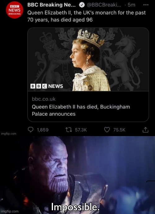 i did it | image tagged in thanos impossible | made w/ Imgflip meme maker