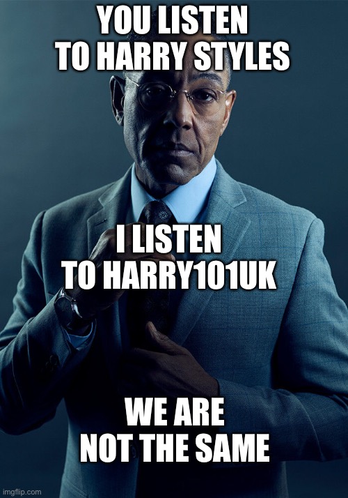 Gus Fring we are not the same | YOU LISTEN TO HARRY STYLES; I LISTEN TO HARRY101UK; WE ARE NOT THE SAME | image tagged in gus fring we are not the same,Portal | made w/ Imgflip meme maker