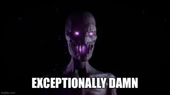 Exceptionally damn | EXCEPTIONALLY DAMN | image tagged in enderman | made w/ Imgflip meme maker