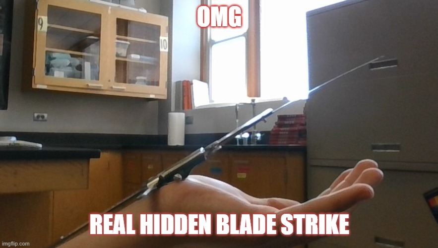 Assasian's Creed irl | OMG; REAL HIDDEN BLADE STRIKE | image tagged in memes in real life | made w/ Imgflip meme maker