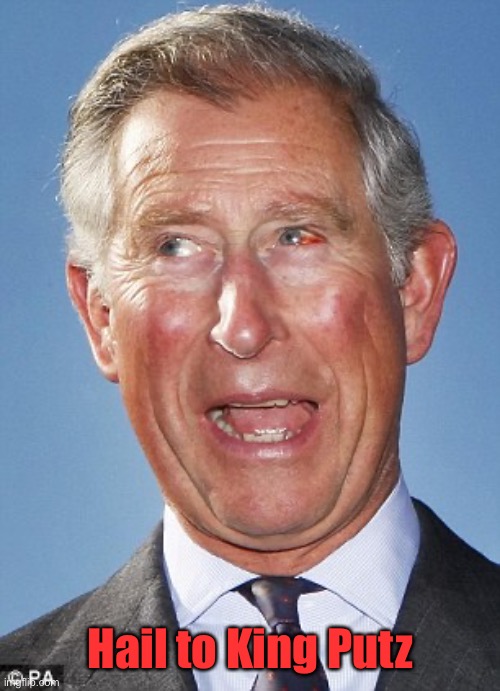 prince charles | Hail to King Putz | image tagged in prince charles | made w/ Imgflip meme maker