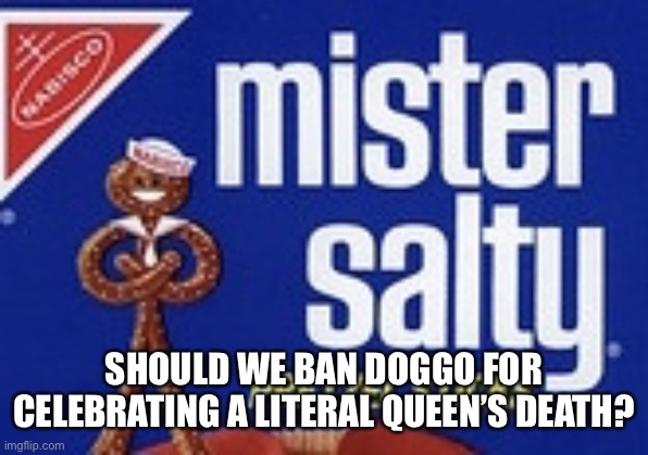 Mister Salty | SHOULD WE BAN DOGGO FOR CELEBRATING A LITERAL QUEEN’S DEATH? | image tagged in mister salty | made w/ Imgflip meme maker