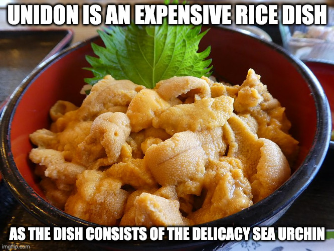 Unidon | UNIDON IS AN EXPENSIVE RICE DISH; AS THE DISH CONSISTS OF THE DELICACY SEA URCHIN | image tagged in food,memes | made w/ Imgflip meme maker