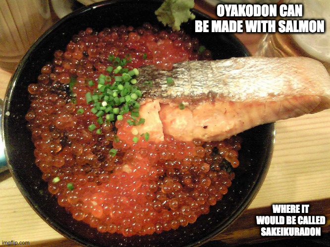 Seafood Oyakodon | OYAKODON CAN BE MADE WITH SALMON; WHERE IT WOULD BE CALLED SAKEIKURADON | image tagged in food,memes | made w/ Imgflip meme maker