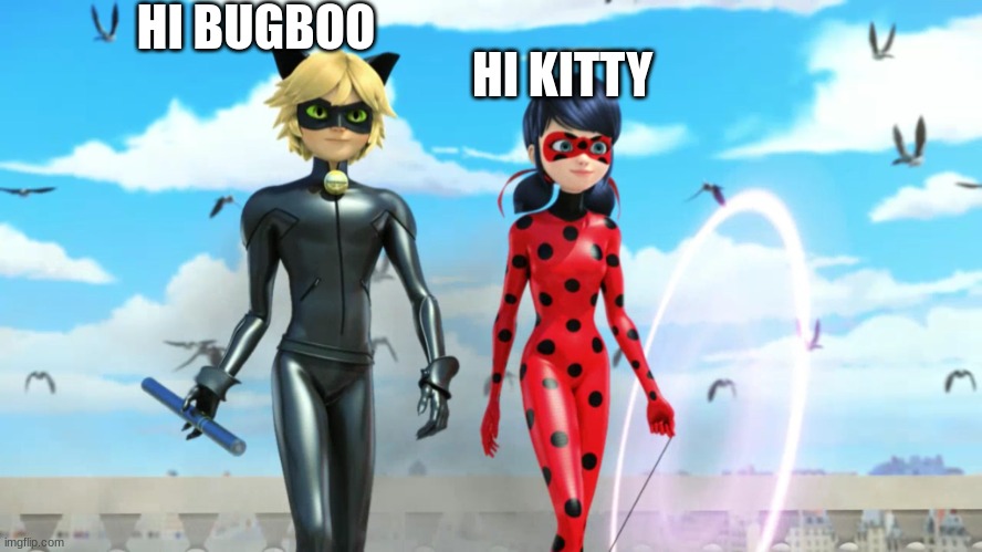 Miraculous Ladybug and Cat Noir (Chat Noir) | HI BUGBOO; HI KITTY | image tagged in miraculous ladybug and cat noir chat noir | made w/ Imgflip meme maker