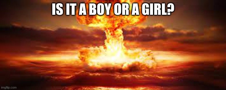 a BIG gender reveal party |  IS IT A BOY OR A GIRL? | image tagged in gender reveal,dank,curse,meme | made w/ Imgflip meme maker