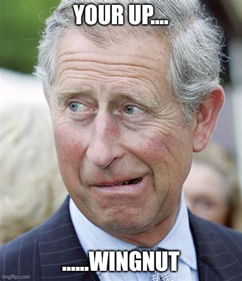 This should be quick... | YOUR UP.... ......WINGNUT | image tagged in prince charles aghast face | made w/ Imgflip meme maker