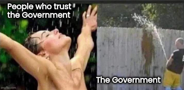 You get an audit and you and . . . | People who trust
  the Government; The Government | image tagged in irs,big brother,arrogant rich man,greedy,politicians suck | made w/ Imgflip meme maker