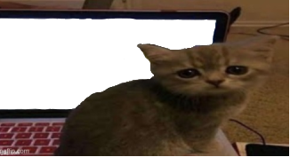 cat caught in 4k Blank Meme Template