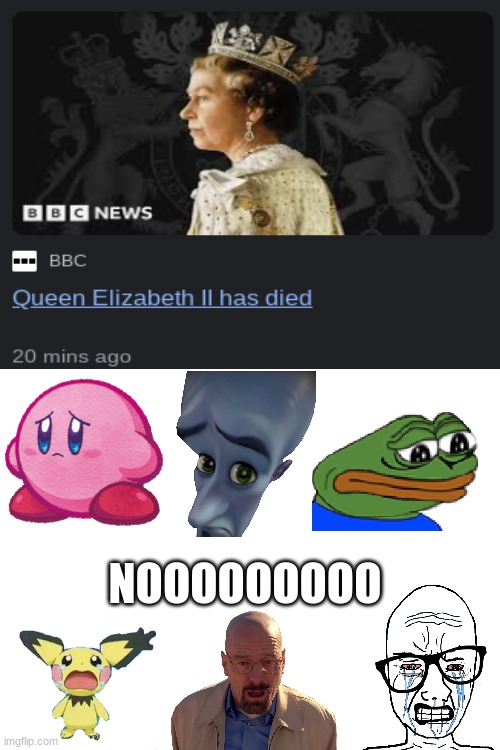 R.I.P Queen Elizabeth, you will always be missed in our hearts. |  NOOOOOOOOO | image tagged in kirby,megamind,pepe,pichu,walter white,wojak | made w/ Imgflip meme maker