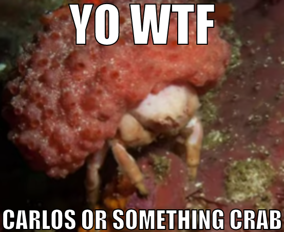 YO WTF CARLOS OR SOMETHING CRAB Blank Meme Template