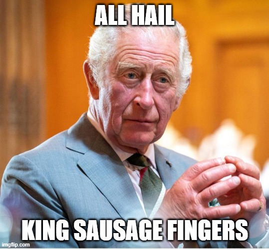 All Hail King Sausage Fingers | ALL HAIL; KING SAUSAGE FINGERS | image tagged in funny | made w/ Imgflip meme maker