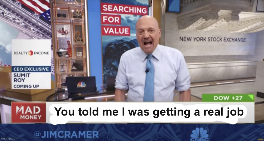 Guy mad on news | You told me I was getting a real job | image tagged in cramer yelling,guy mad,mad,depression | made w/ Imgflip meme maker
