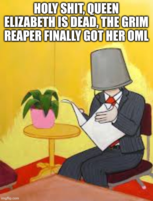 HOLY SHIT! | HOLY SHIT, QUEEN ELIZABETH IS DEAD, THE GRIM REAPER FINALLY GOT HER OML | image tagged in thebucketman | made w/ Imgflip meme maker