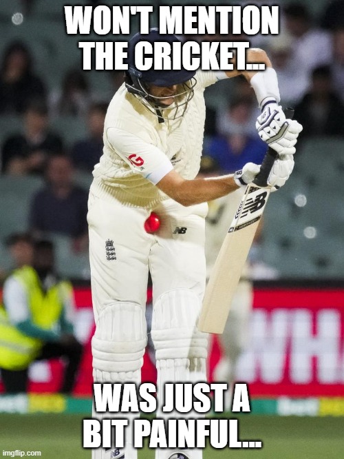 Bowled Middle Stump | WON'T MENTION THE CRICKET... WAS JUST A BIT PAINFUL... | image tagged in cricket,pain,sports | made w/ Imgflip meme maker