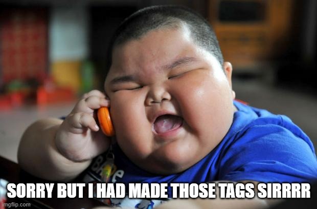 Fat Asian Kid | SORRY BUT I HAD MADE THOSE TAGS SIRRRR | image tagged in fat asian kid | made w/ Imgflip meme maker