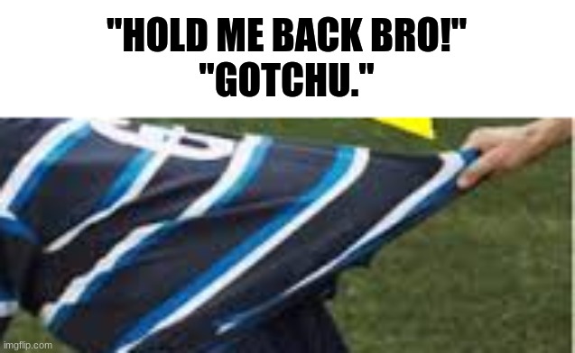 bro | "HOLD ME BACK BRO!"
"GOTCHU." | image tagged in i said go back,shirt | made w/ Imgflip meme maker