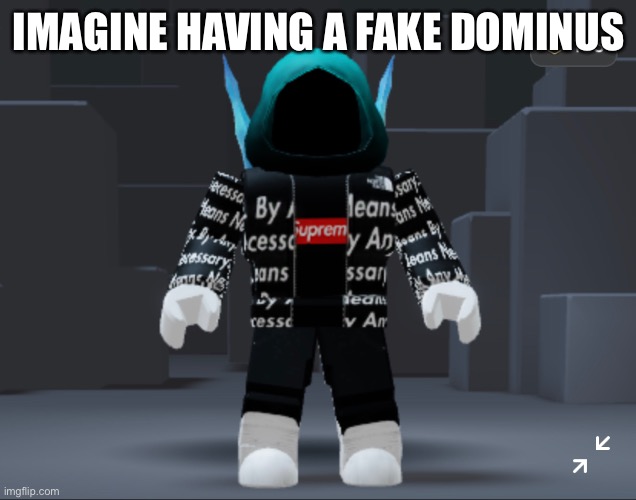 IMAGINE HAVING A FAKE DOMINUS | made w/ Imgflip meme maker