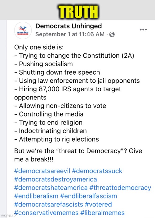 Democrats are the threat |  TRUTH | image tagged in democratic party,democratic socialism,liberal logic,stupid liberals,democrats,memes | made w/ Imgflip meme maker
