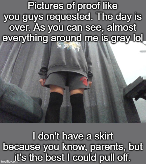 :/ happy now? | Pictures of proof like you guys requested. The day is over. As you can see, almost everything around me is gray lol; I don't have a skirt because you know, parents, but it's the best I could pull off. | made w/ Imgflip meme maker