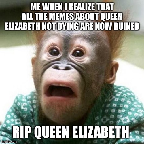 Shocked Monkey | ME WHEN I REALIZE THAT ALL THE MEMES ABOUT QUEEN ELIZABETH NOT DYING ARE NOW RUINED; RIP QUEEN ELIZABETH | image tagged in shocked monkey | made w/ Imgflip meme maker