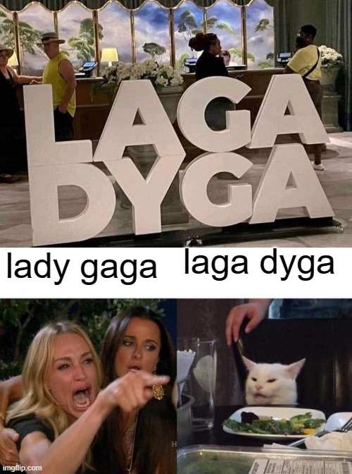 laga dyga; lady gaga | image tagged in memes,woman yelling at cat | made w/ Imgflip meme maker