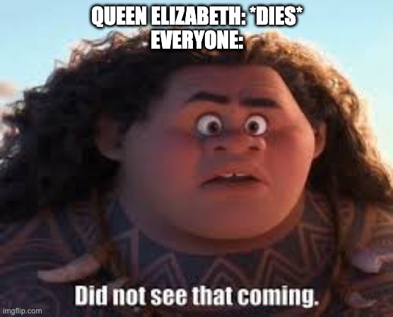 Why are their no memes about Queen Elizabeth's death on the front page??? | QUEEN ELIZABETH: *DIES*
EVERYONE: | image tagged in maui did not see that coming | made w/ Imgflip meme maker