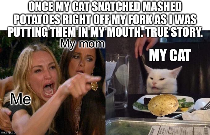 I laughed so hard I was crying | ONCE MY CAT SNATCHED MASHED POTATOES RIGHT OFF MY FORK AS I WAS PUTTING THEM IN MY MOUTH. TRUE STORY. My mom; MY CAT; Me | image tagged in memes,woman yelling at cat | made w/ Imgflip meme maker