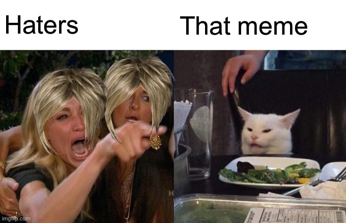 Woman Yelling At Cat | Haters; That meme | image tagged in memes,woman yelling at cat | made w/ Imgflip meme maker