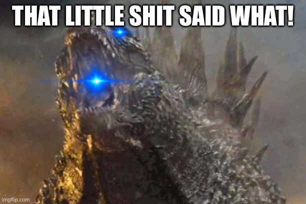 Godzilla 2014 come at me bro | THAT LITTLE SHIT SAID WHAT! | image tagged in godzilla 2014 come at me bro | made w/ Imgflip meme maker