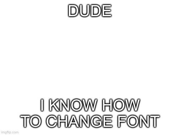 Blank White Template | DUDE I KNOW HOW TO CHANGE FONT | image tagged in blank white template | made w/ Imgflip meme maker