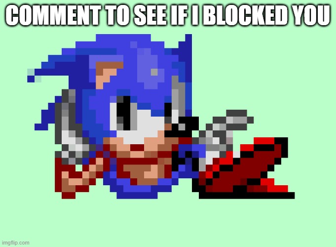 Sonic waiting | COMMENT TO SEE IF I BLOCKED YOU | image tagged in sonic waiting | made w/ Imgflip meme maker