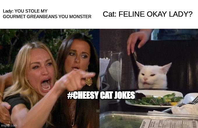 Woman Yelling At Cat Meme | Lady: YOU STOLE MY GOURMET GREANBEANS YOU MONSTER; Cat: FELINE OKAY LADY? #CHEESY CAT JOKES | image tagged in memes,woman yelling at cat | made w/ Imgflip meme maker