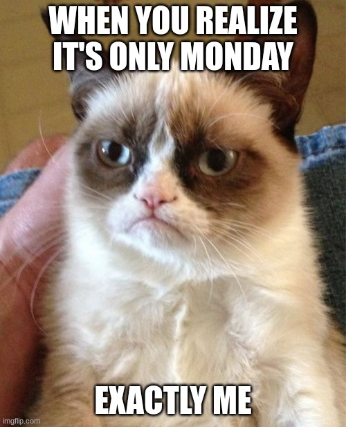 Grumpy Cat | WHEN YOU REALIZE IT'S ONLY MONDAY; EXACTLY ME | image tagged in memes,grumpy cat | made w/ Imgflip meme maker