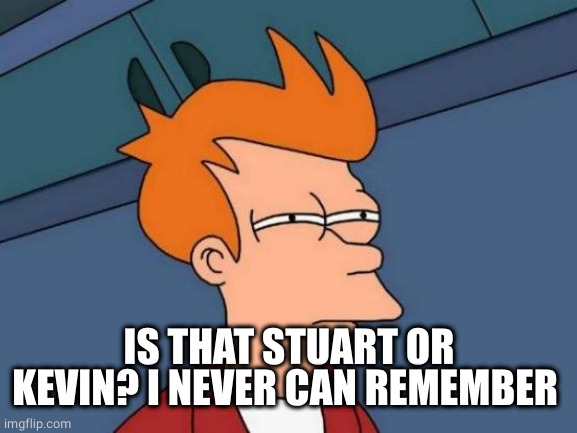 Futurama Fry Meme | IS THAT STUART OR KEVIN? I NEVER CAN REMEMBER | image tagged in memes,futurama fry | made w/ Imgflip meme maker