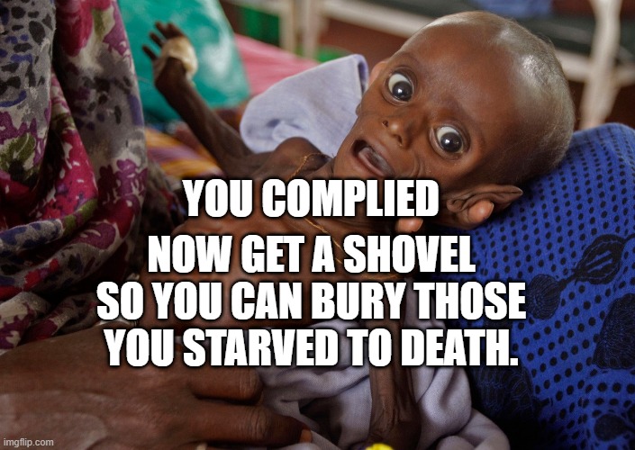 covid kid | NOW GET A SHOVEL SO YOU CAN BURY THOSE YOU STARVED TO DEATH. YOU COMPLIED | image tagged in covid kid | made w/ Imgflip meme maker