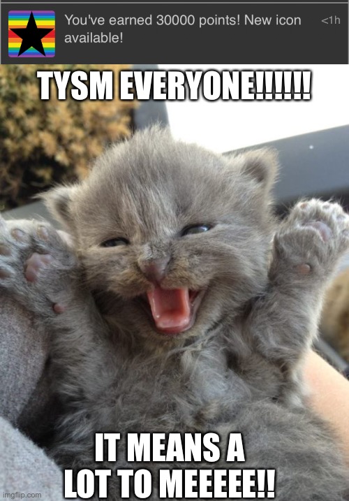 Celebrate the small victories | TYSM EVERYONE!!!!!! IT MEANS A LOT TO MEEEEE!! | image tagged in yay kitty | made w/ Imgflip meme maker