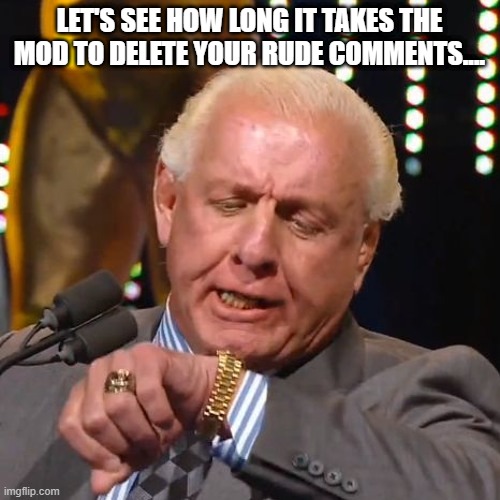 Fun Meme to use | LET'S SEE HOW LONG IT TAKES THE MOD TO DELETE YOUR RUDE COMMENTS.... | image tagged in ric flair looks at watch | made w/ Imgflip meme maker