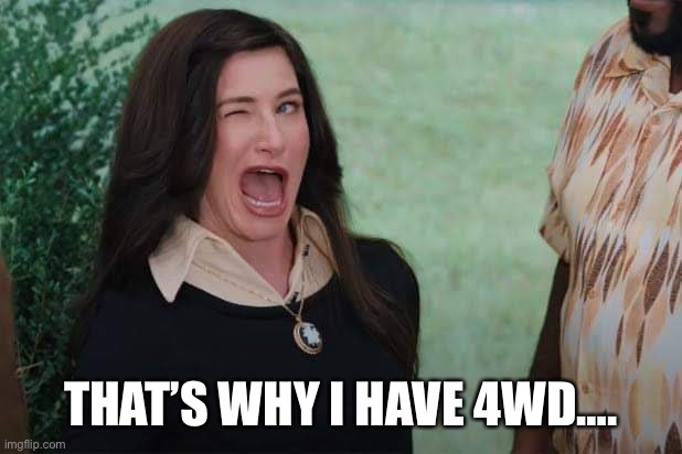 WandaVision Agnes wink | THAT’S WHY I HAVE 4WD…. | image tagged in wandavision agnes wink | made w/ Imgflip meme maker