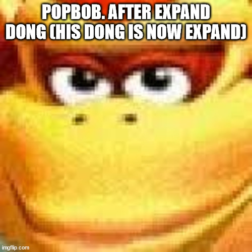 Expand Dong | POPBOB. AFTER EXPAND DONG (HIS DONG IS NOW EXPAND) | image tagged in expand dong | made w/ Imgflip meme maker