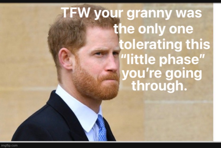 Prince Harry | image tagged in prince harry,queen elizabeth,queen elizabeth ii,british royals,royal family,queen | made w/ Imgflip meme maker