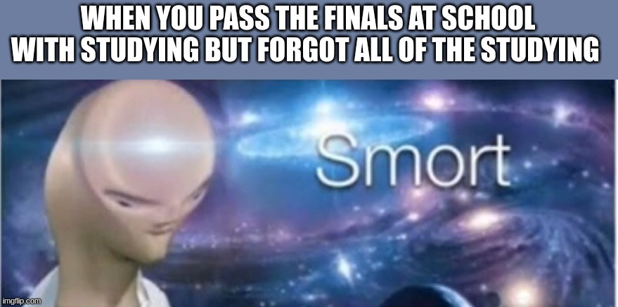 S M O R T |  WHEN YOU PASS THE FINALS AT SCHOOL WITH STUDYING BUT FORGOT ALL OF THE STUDYING | image tagged in meme man smort | made w/ Imgflip meme maker