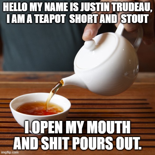Canada's Globalist Tyrant |  HELLO MY NAME IS JUSTIN TRUDEAU, I AM A TEAPOT  SHORT AND  STOUT; I OPEN MY MOUTH AND SHIT POURS OUT. | image tagged in teapot,tyrant,canada,justin trudeau,globalist | made w/ Imgflip meme maker