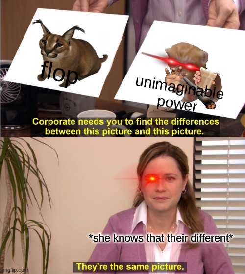 They're The Same Picture Meme | flop; unimaginable power; *she knows that their different* | image tagged in memes,they're the same picture | made w/ Imgflip meme maker