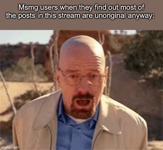 You see I made fun of someone because of their habits three years ago, so I made the slanders first | Msmg users when they find out most of the posts in this stream are unoriginal anyway: | image tagged in walter white | made w/ Imgflip meme maker
